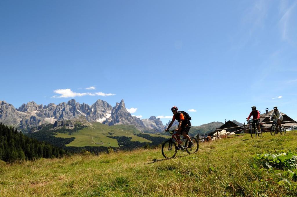 Active Hotel Ancora Predazzo Buitenkant foto